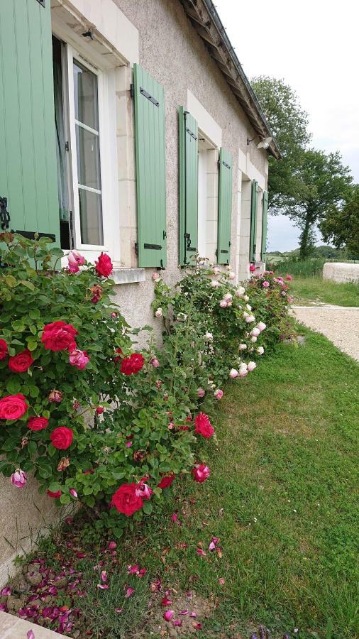 Longere Du Sud Touraine Au Coeur Du Val De Loire Villa Saint-Jean-Saint-Germain Eksteriør billede