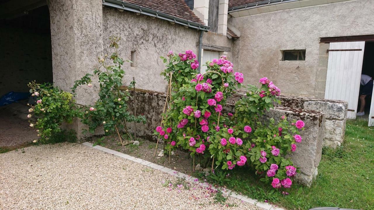 Longere Du Sud Touraine Au Coeur Du Val De Loire Villa Saint-Jean-Saint-Germain Eksteriør billede